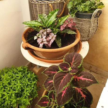 Aretousa Deluxe Downtown Апартаменты