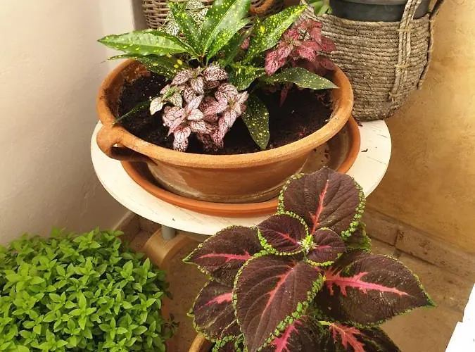 Aretousa Deluxe Downtown شقة